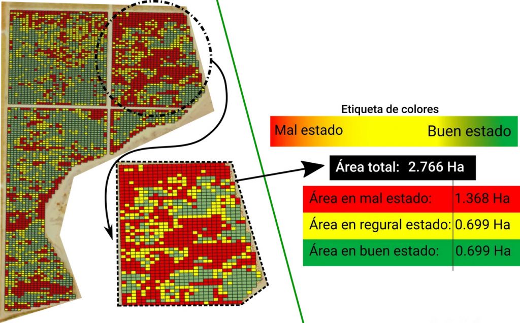 Imagen de dron procesada para obtener Indice Vegetativo ndvi